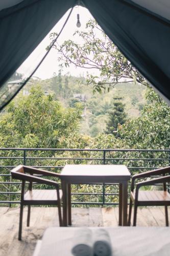 radiance ella urban camping