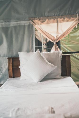 radiance ella urban camping