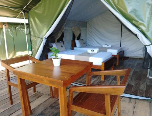 radiance ella urban camping