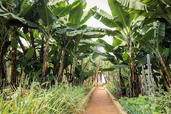 kiambu