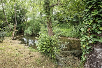 santuario kunturi