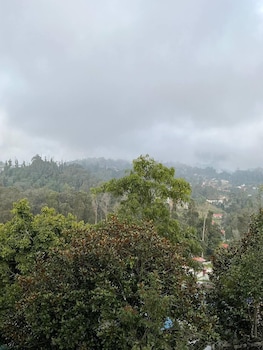 whispering palms kodaikanal