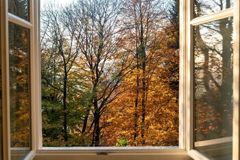 villa rocawood