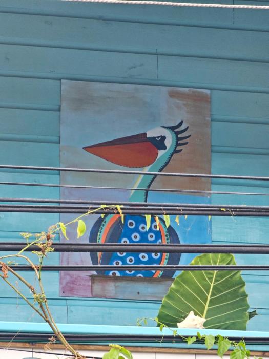 casa pelicano