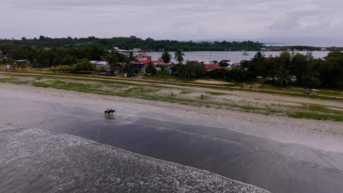 bocas del toro