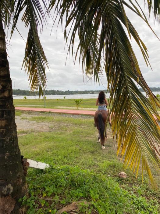 bocas del toro