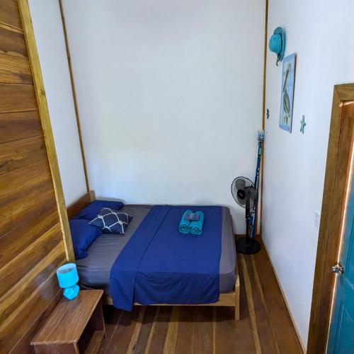 casa pelicano