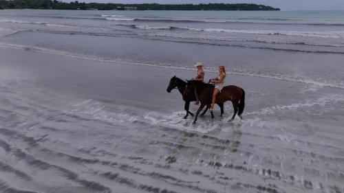 bocas del toro