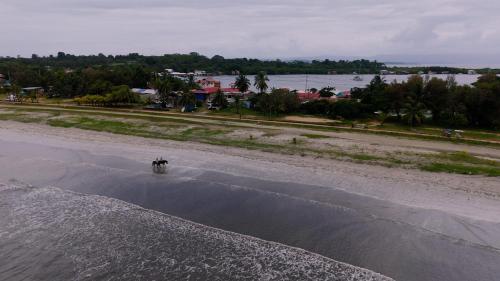 bocas del toro