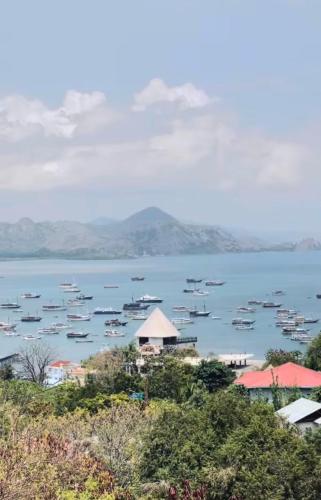 la colina komodo hotel
