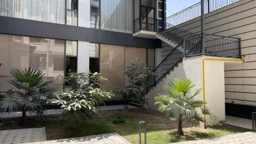 chinor hotel fergana
