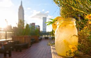 the shelburne sonesta new york