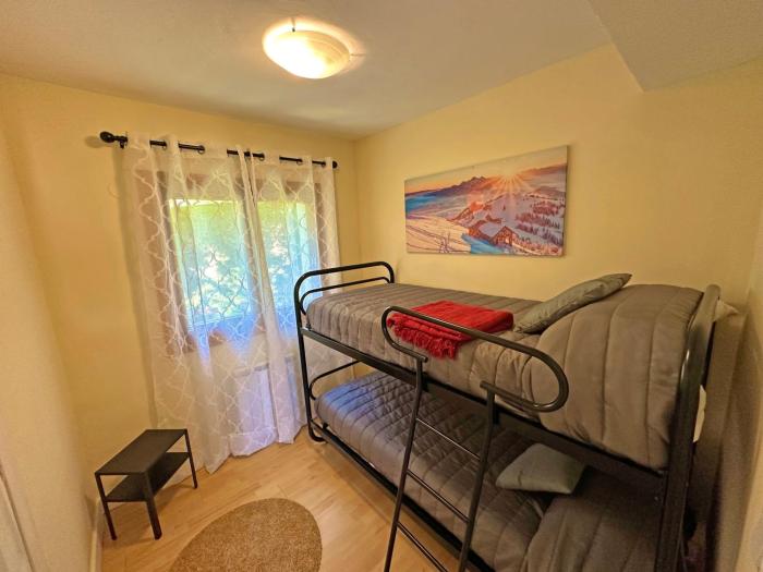 apartamentos confort formigal 3000