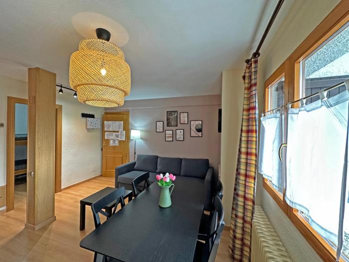 apartamentos confort formigal 3000