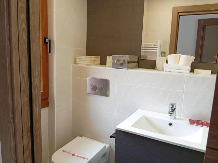 apartamentos confort formigal 3000