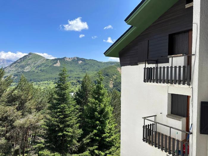 apartamentos confort formigal 3000
