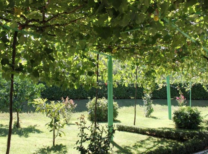 elez serenity guesthouse
