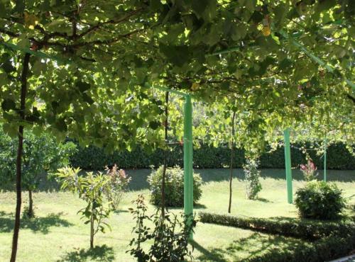 elez serenity guesthouse