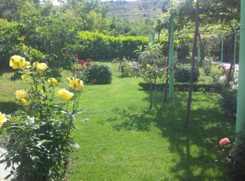 elez serenity guesthouse