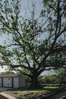 hotel hacienda conca