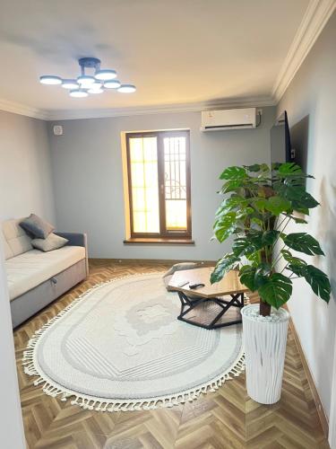 lux apartment
