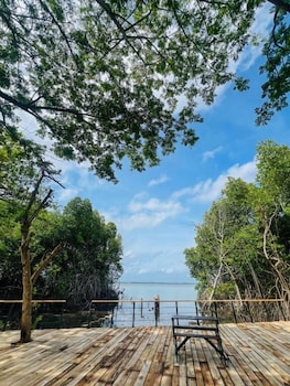 Blue Mangrove Lagoon By Serenity,,3 star