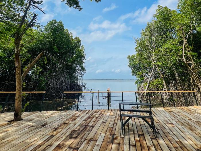 blue mangrove lagoon by serenity