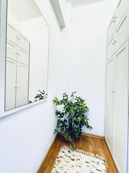 lovely 2br for 5 peaceful central stay