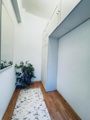 lovely 2br for 5 peaceful central stay