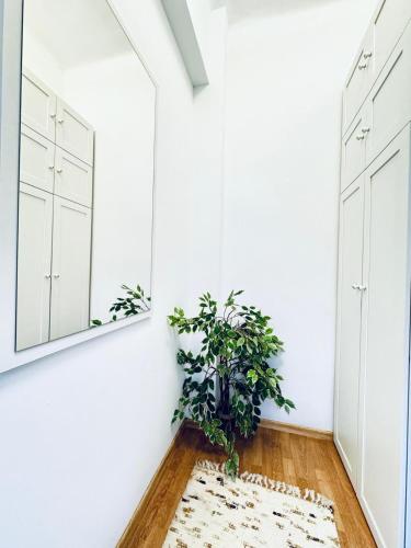 lovely 2br for 5 peaceful central stay