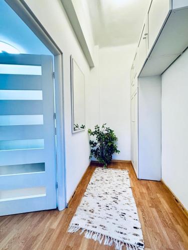 lovely 2br for 5 peaceful central stay