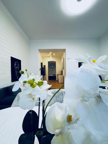lovely 2br for 5 peaceful central stay