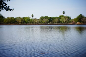 serenity home