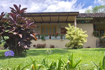 pereira