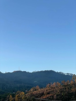 the lipton view inn