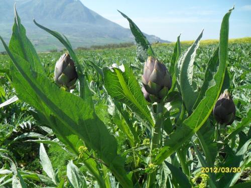 agriturismo la targa