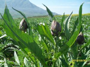 agriturismo la targa
