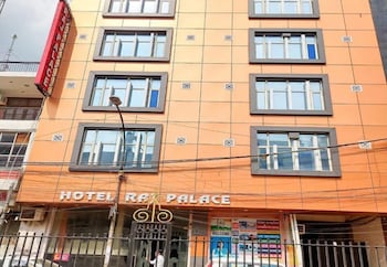 hotel the raj palace