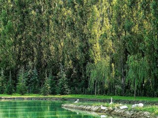 ibis styles milano est settala