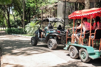 papalo resort hotel
