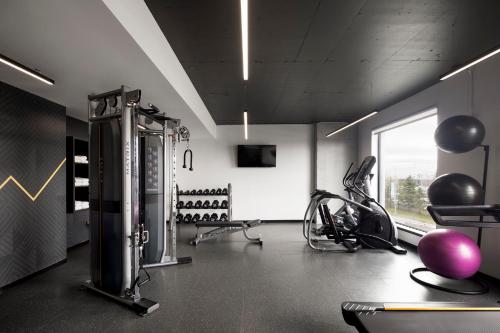 alt hotel ottawa airport