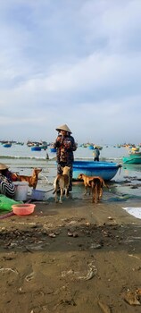 pho homestay fishing village