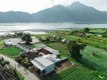 kintamani