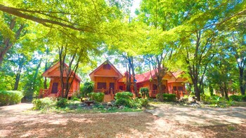 oyo 75597 the tewsone resort