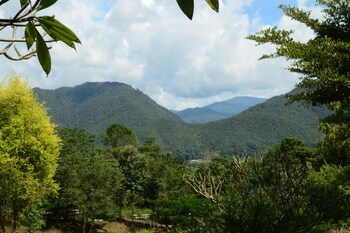 the moon rabbit resort pai