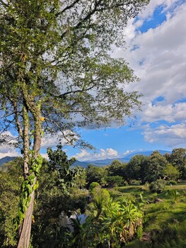 the moon rabbit resort pai