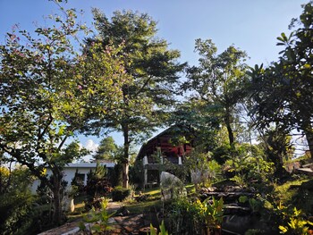 the moon rabbit resort pai