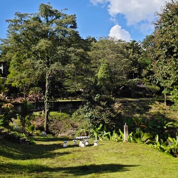 the moon rabbit resort pai