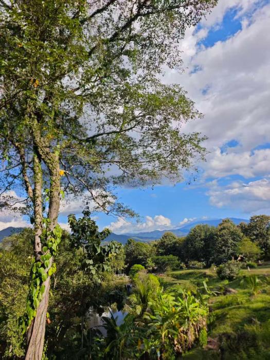 the moon rabbit resort pai