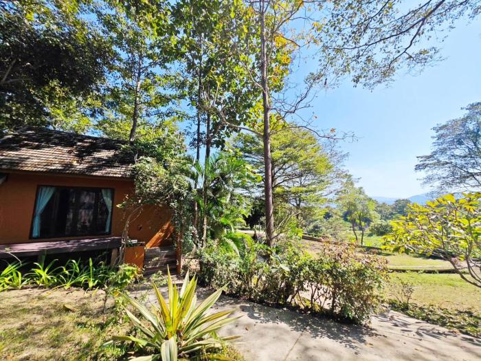 the moon rabbit resort pai